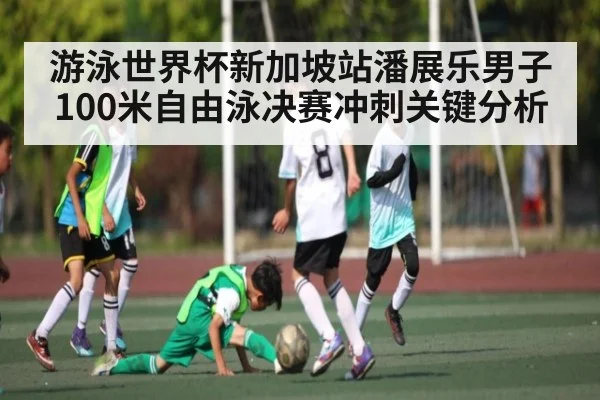 游泳世界杯新加坡站潘展乐男子100米自由泳决赛冲刺关键分析